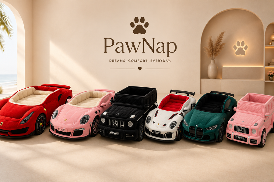 Dog napping inside PawNap inflatable car bed