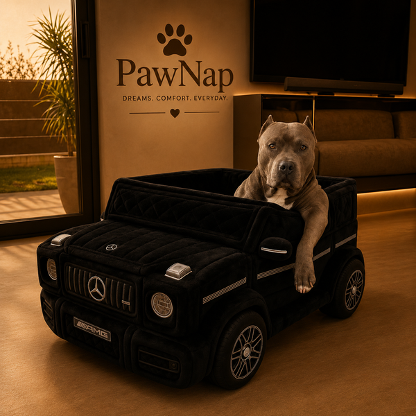 @pawnap_official